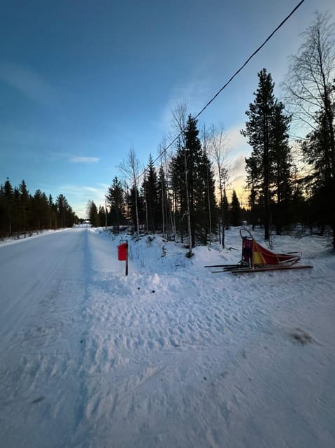 Levi: Self-Drive 2 KM Husky Sledding Experience - Meeting a well-cared-for team of huskies