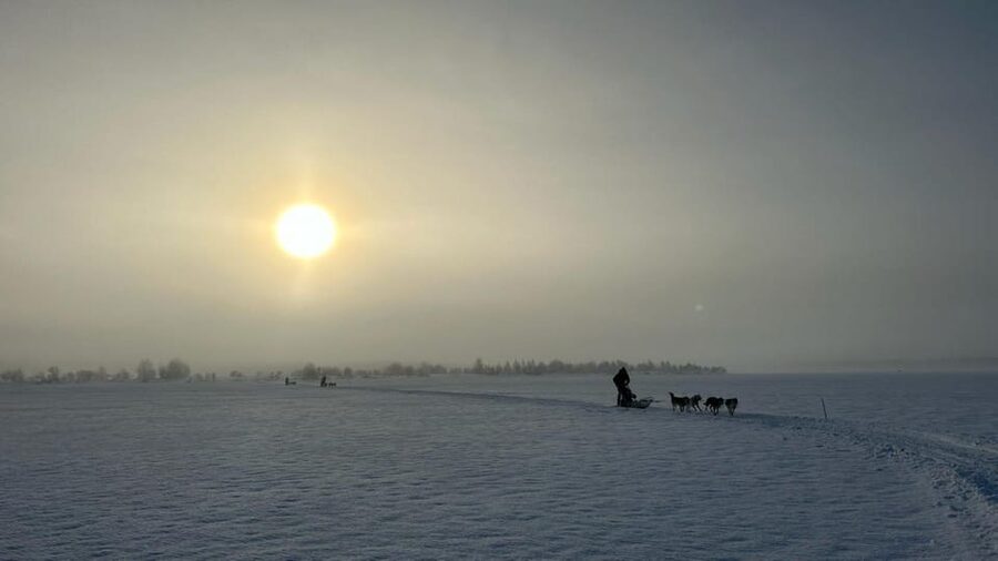 Levi: Self-Drive 5 KM Husky Sledding Experience - Key points to know before booking