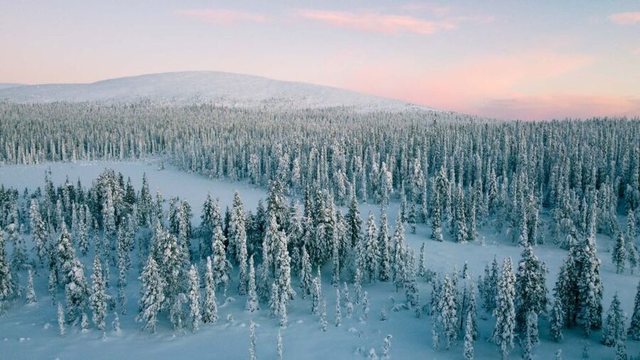 Levi: Snowshoe Adventure in the Wilderness - Should you book it?