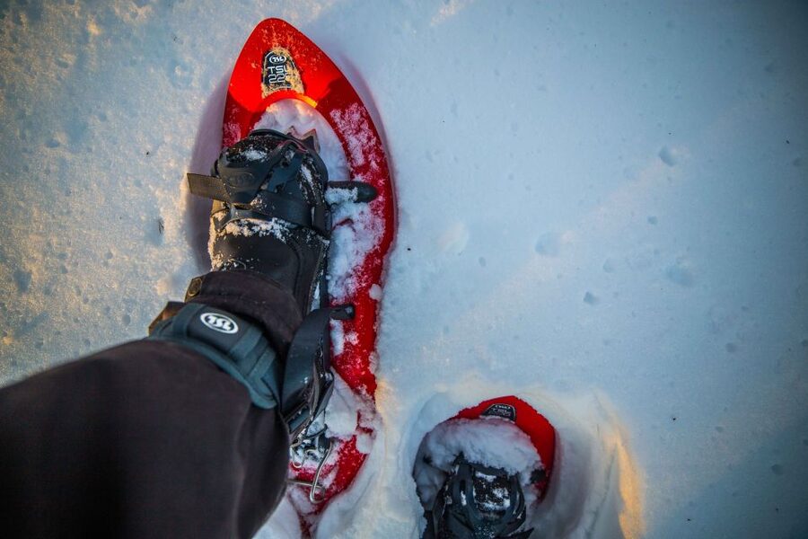Levi: Snowshoe Adventure in the Wilderness - The two-and-a-half-hour walk into Arctic nature