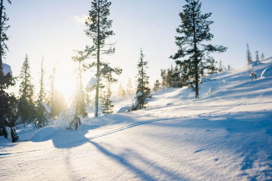 Levi: Snowshoe Adventure in the Wilderness - Who should book this snowshoe outing