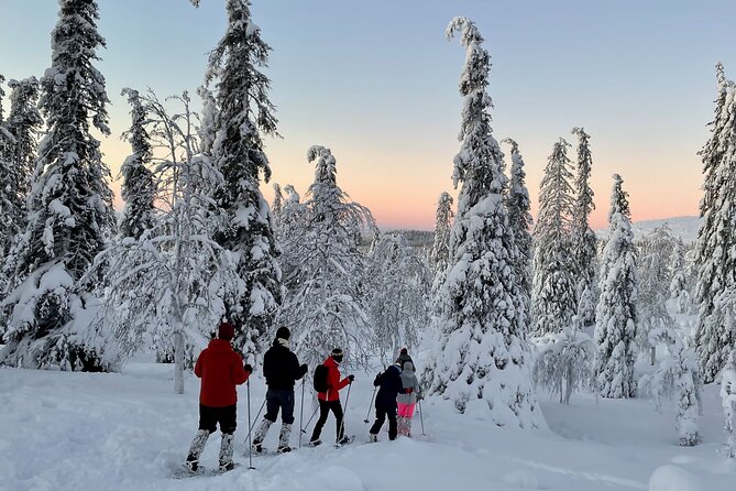 Levi: Snowshoeing adventure in the National Park - From Levi to Pallas in 45 minutes