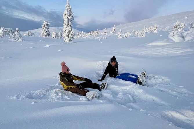 Levi: Snowshoeing adventure in the National Park - Pallas fells and the clean-air setting
