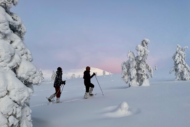 Levi: Snowshoeing adventure in the National Park - Is $191.56 a fair price?