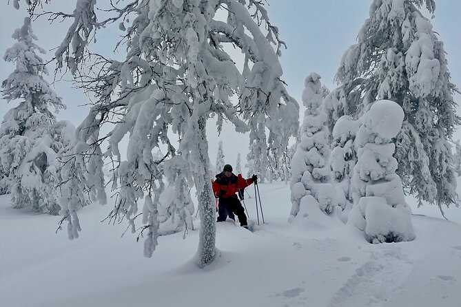 Levi: Snowshoeing adventure in the National Park - Group size and guiding style