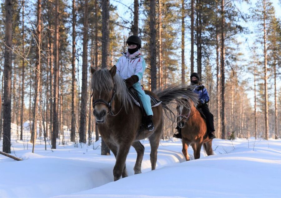 Levi: Snowy Forest Ride and Polar Lights Tours - What This Two-Hour Levi Horse Ride Is Really Like