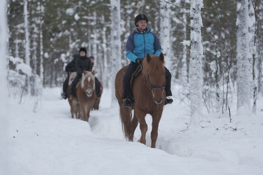 Levi: Snowy Forest Ride and Polar Lights Tours - Eighty Minutes Among Snow-Covered Trees
