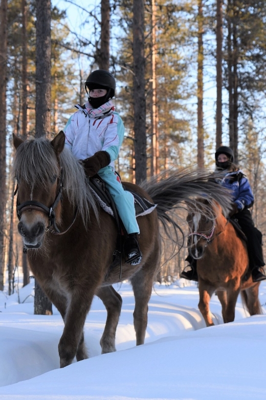 Levi: Snowy Forest Ride and Polar Lights Tours - My Practical Verdict on the Forest Ride