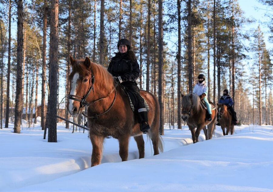 Levi: Snowy Forest Ride and Polar Lights Tours - A Ten-Minute Briefing Before You Meet the Trail