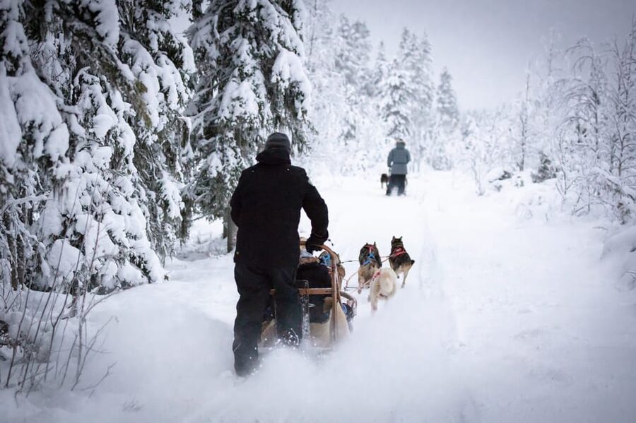 Levi: Winter Highlights Family Day - Meeting the huskies and taking the first sled ride
