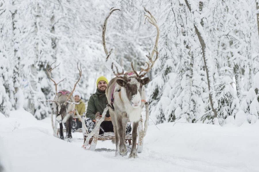 Levi: Winter Highlights Tour with Snowmobiling - Key points to know before booking