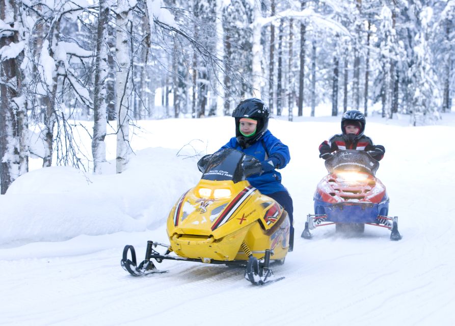 Levi: Winter Highlights Tour with Snowmobiling - Why this five-hour Levi tour works so well