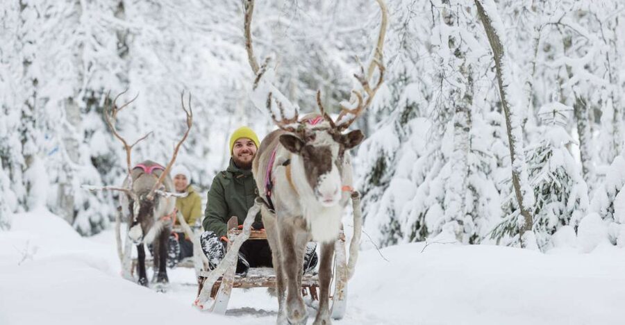 Levi: Winter Highlights Tour with Snowmobiling - Reindeer, sleigh bells, and a slower pace
