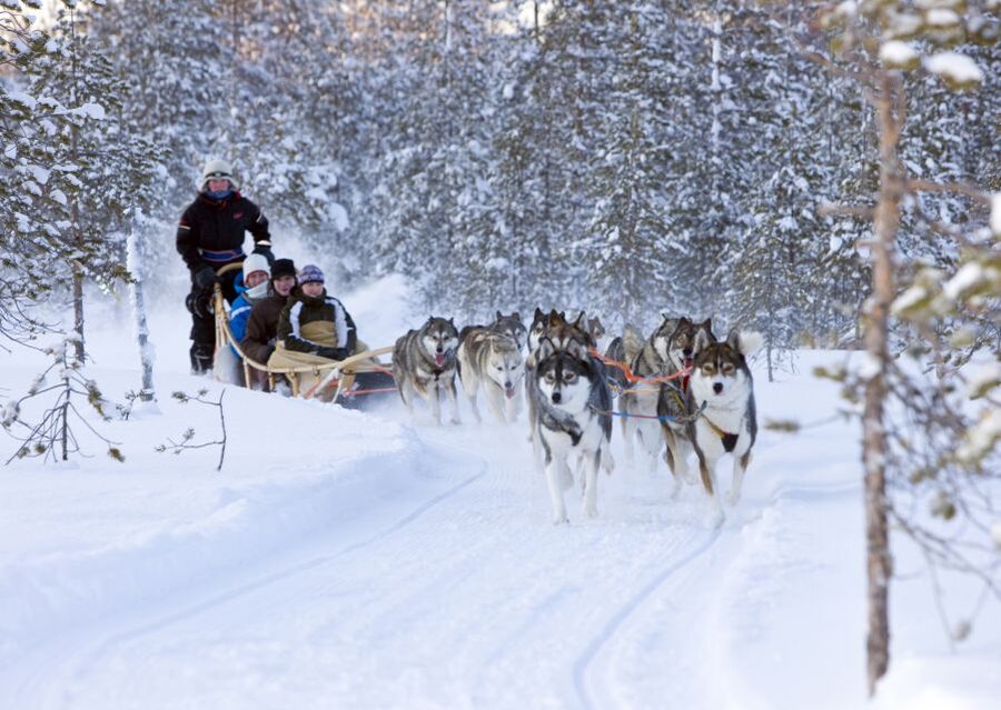 Levi: Winter Highlights Tour with Snowmobiling - The ride from Levi to the snowy countryside