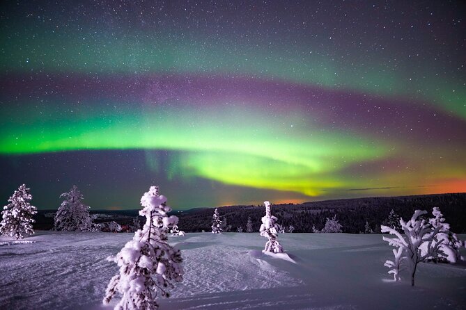 Night Snowshoeing Adventure under the Northern Lights - Choosing between forest, frozen water, and a hilltop