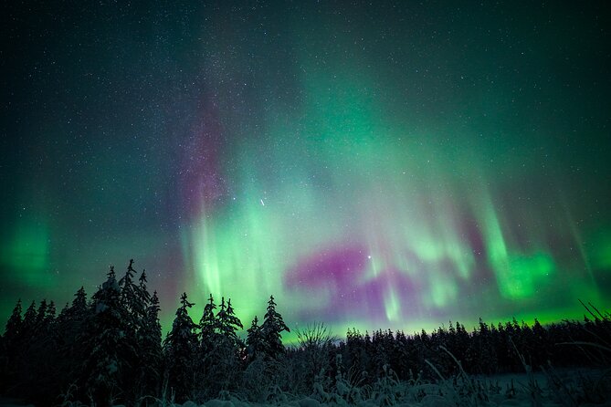 Night Snowshoeing Adventure under the Northern Lights - How strenuous is the snowshoe walk?