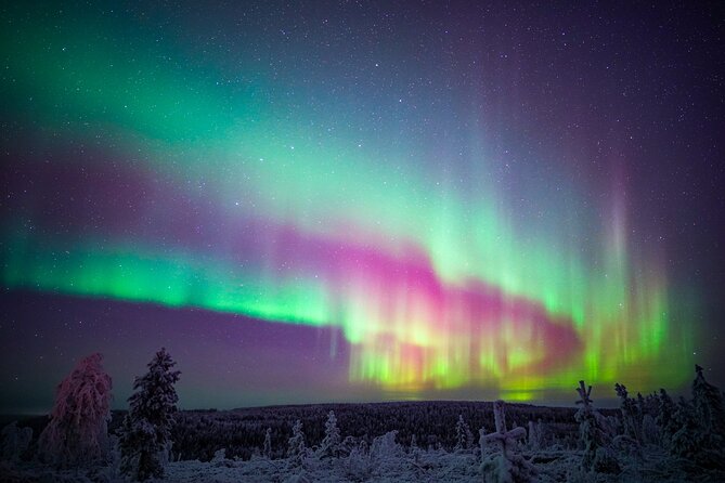 Night Snowshoeing Adventure under the Northern Lights - The value of a $123 small-group outing