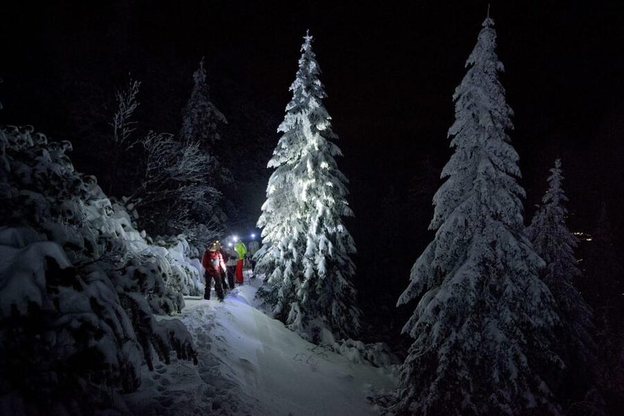 Night Snowshoeing Lapland Experience - Key points to know before you book