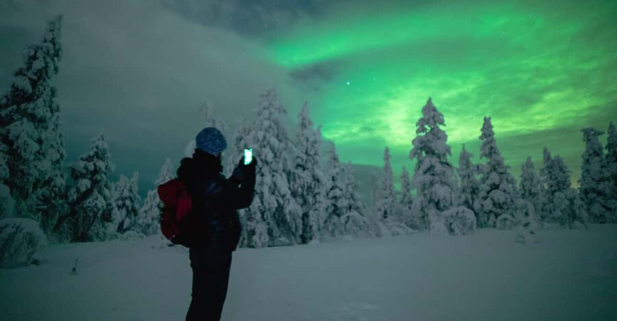 Night Snowshoeing Lapland Experience - Setting out after dark in Rovaniemi