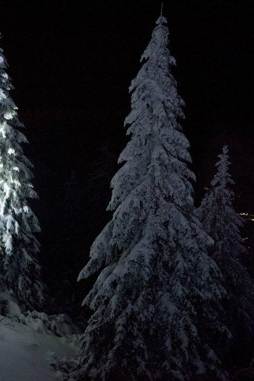 Night Snowshoeing Lapland Experience - What walking in snowshoes feels like