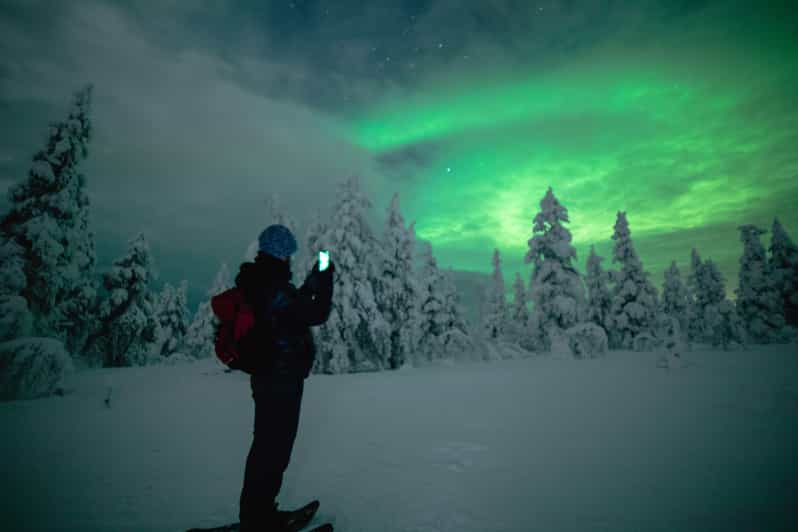 Night Snowshoeing Lapland Experience - Pickup from central Rovaniemi
