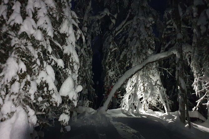 Nocturnal Skiing: Experience the Arctic's Magic - Why night skiing near Rovaniemi feels different