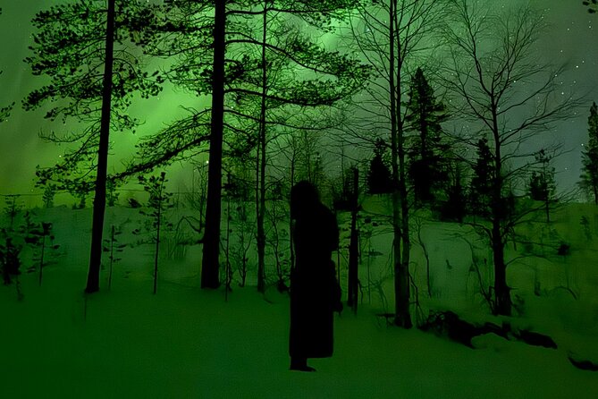 Northern Lights Adventure in the Wild with Campfire Treats - A private cabin beside the frozen lake