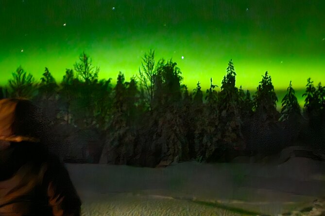 Northern Lights Auroras from Kemi-Tornio with Pickup - Watching the sky instead of a fixed timetable