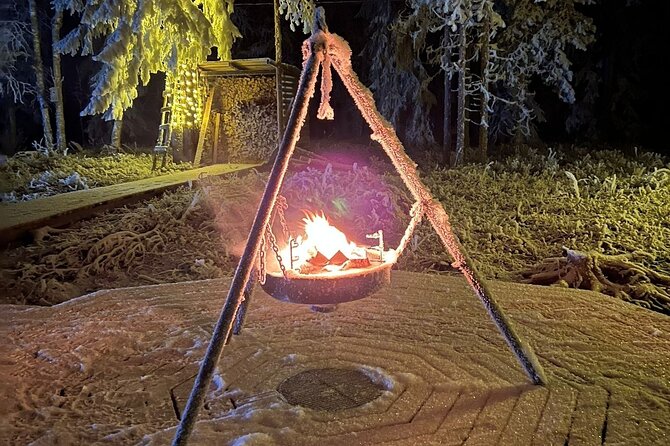Northern Lights dinner in a Glass Igloo - Snowmobiles, the frozen lake, and an extra surprise