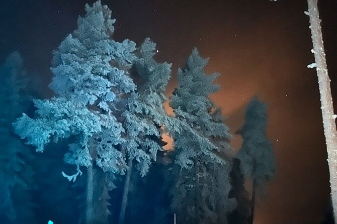 Northern Lights dinner in a Glass Igloo - Practical details that affect your decision