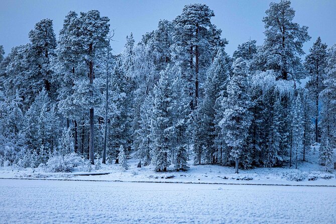 Northern Lights Holiday in Finland - Day five: backcountry skiing and an Aurora Camp