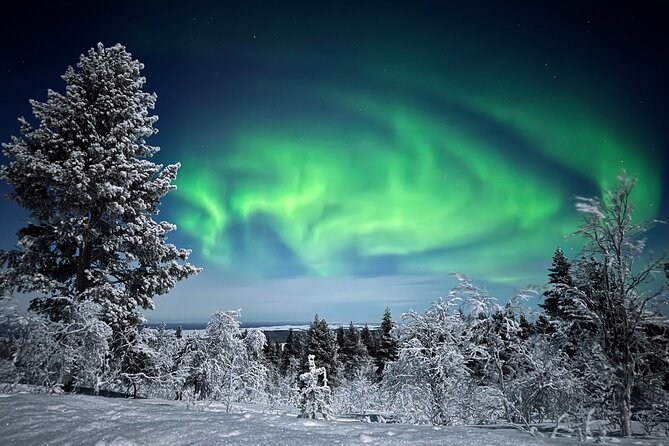 Northern Lights Holiday in Finland - Day one: settle into Xwander Nordic