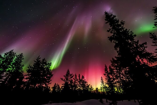 Northern Lights Hunt from Rovaniemi with Folk Tales and Snacks over Campfire - Staying warm and dressing for the wait