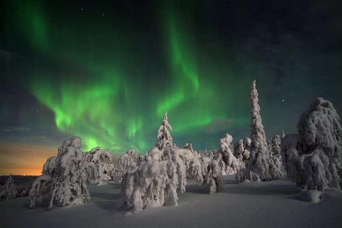 Northern Lights Hunt Including Snacks on Campfire from Levi - Into the woods, toward the lake, or across the ice
