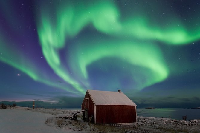 Northern Lights Hunt Including Snacks on Campfire from Rovaniemi - Stories, science, and local context