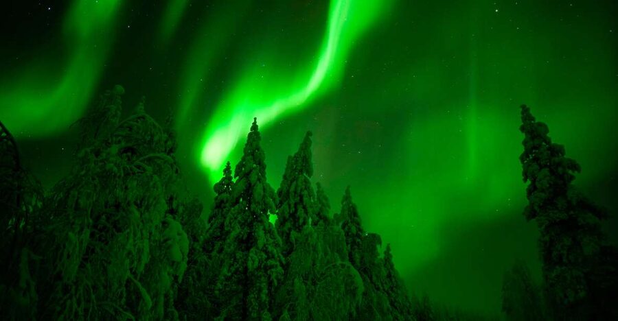 Northern Lights Hunting Adventure in Lapland - A late start can help, but ask what the plan is