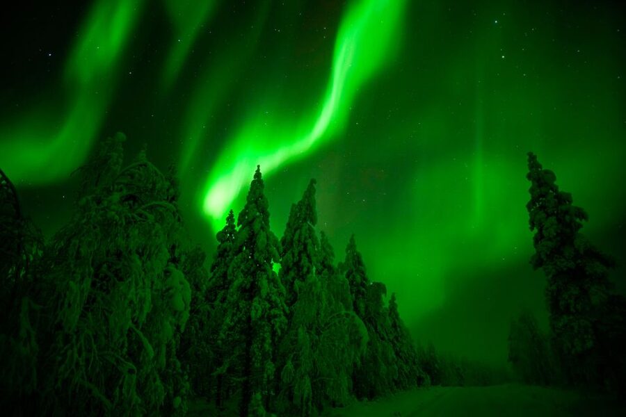 Northern Lights Hunting Adventure in Lapland - Is $226 a fair price?