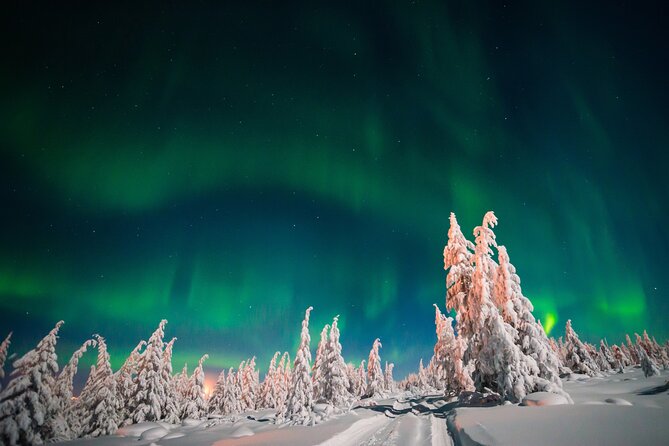 Northern Lights Hunting of Rovaniemi - Photography help is a real advantage