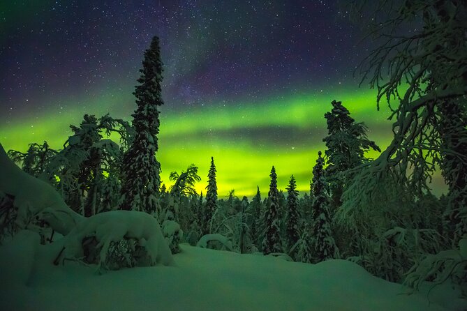 Northern Lights Hunting of Rovaniemi - Group size and the small-group question