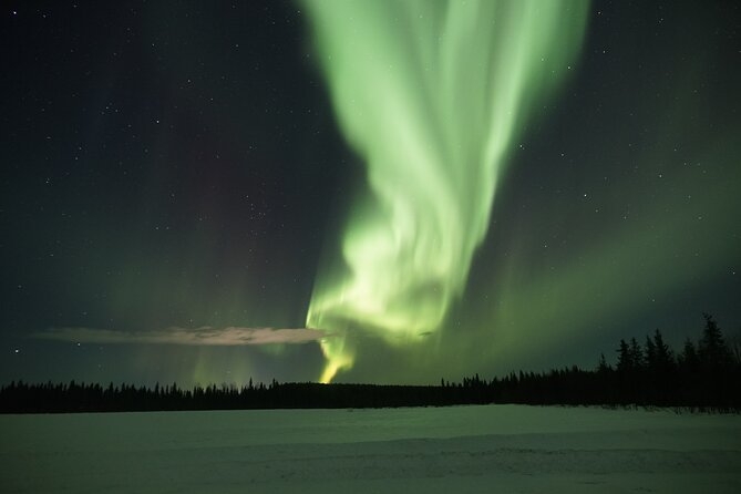 Northern Lights Hunting Photo Tour in Levi - Who will enjoy this tour most