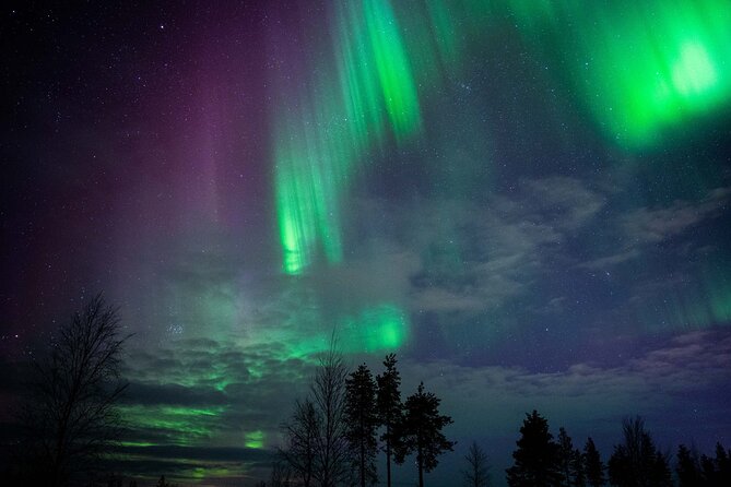 Northern Lights Hunting Photography Tour in Levi - Traveling in a small premium minivan