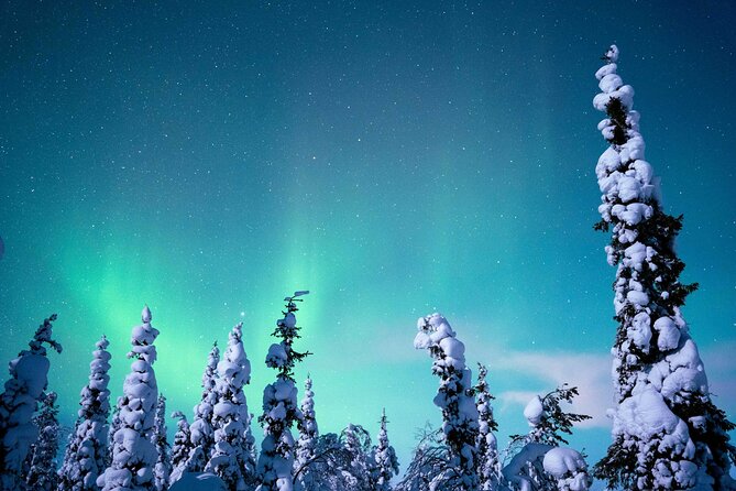 Northern Lights Hunting Photography Tour in Levi - Staying warm during the wait
