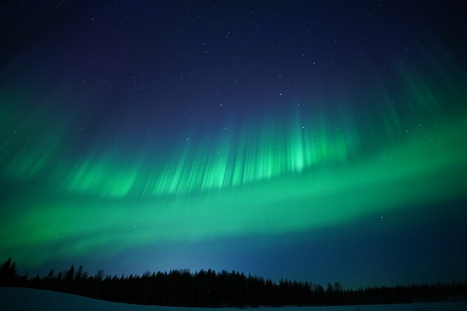 Northern Lights Hunting Photography Tour in Rovaniemi Finland - Is $228.09 good value?