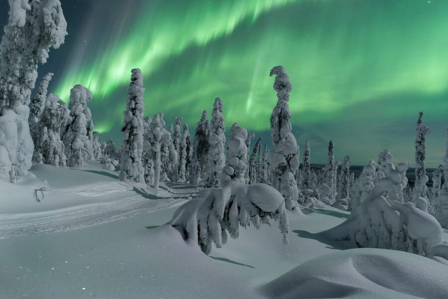 Northern Lights Hunting with Aurora Workshop - Following the forecast into the Inari wilderness