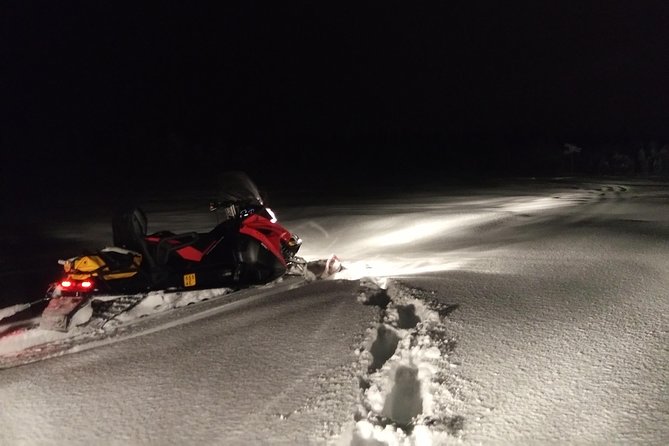Northern Lights Night by Snowmobile (private tour) - Why the private format matters