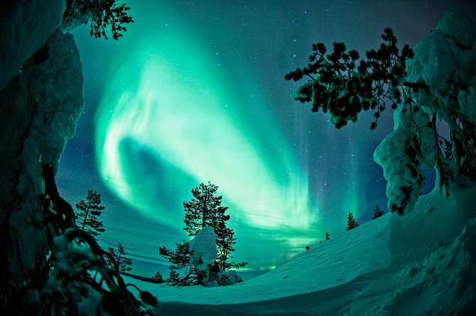 Northern Lights Photography Tour from Rovaniemi - Who should book this Rovaniemi outing?