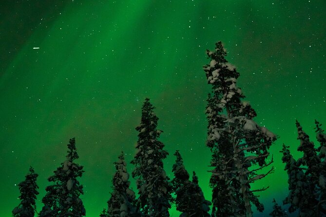 Northern lights Reindeer Sledge Ride - What this Rovaniemi evening is really about
