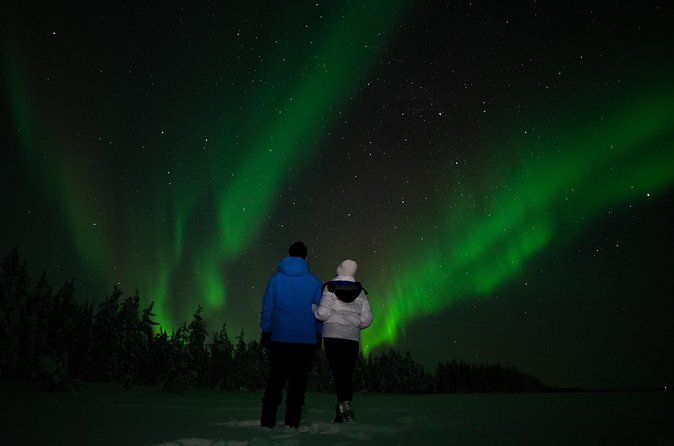 Northern lights Reindeer Sledge Ride - A three-hour program with a compact group