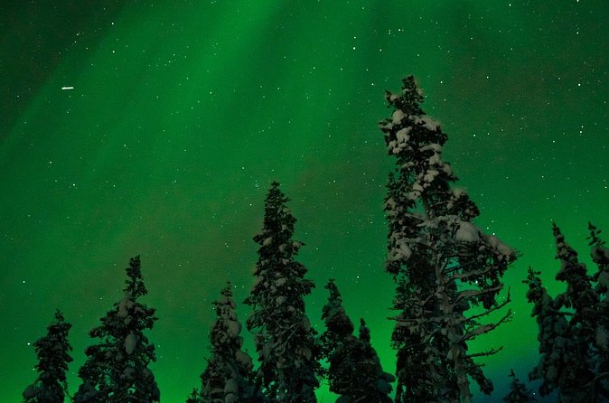 Northern lights Reindeer Sledge Ride - Who will enjoy this activity most