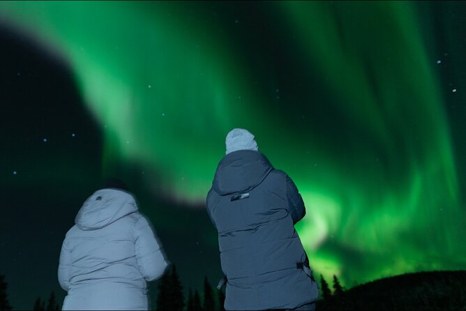 Northern Lights Rovaniemi: Guaranteed Tour with Local Guide - Key points to know before you book
